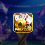 pak3 game